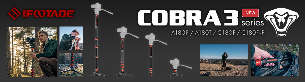 cobra3_bnr.jpg