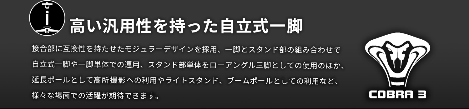 高い汎用性を持った自立式一脚