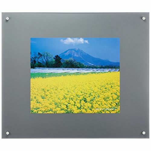 FUJICOLOR プロフレーム 特寸フリーL ブラック | アサヌマネットショップ