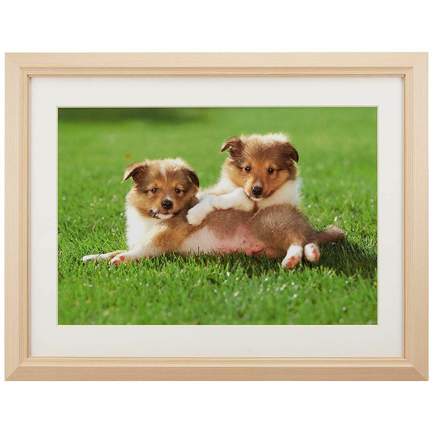 FUJICOLOR 木製額縁 M12 アクリル ワイド4切 | アサヌマネットショップ 