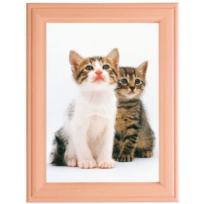 FUJICOLOR スリーサイズフォトスタンド 木地 | アサヌマネットショップ