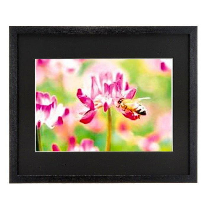 FUJICOLOR ワイドマットフレーム M5000 半切ノートリ135 ブラック  