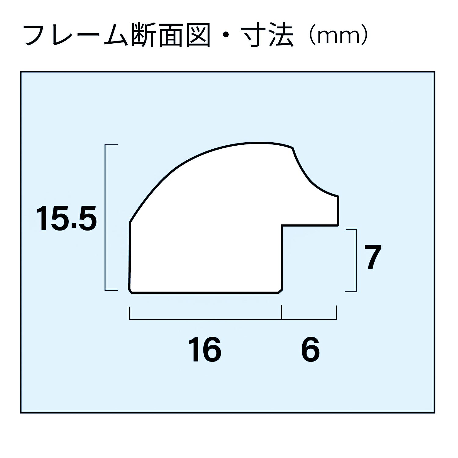 FUJICOLOR ワイドマットフレーム M5000 全紙 ブラック アクリル