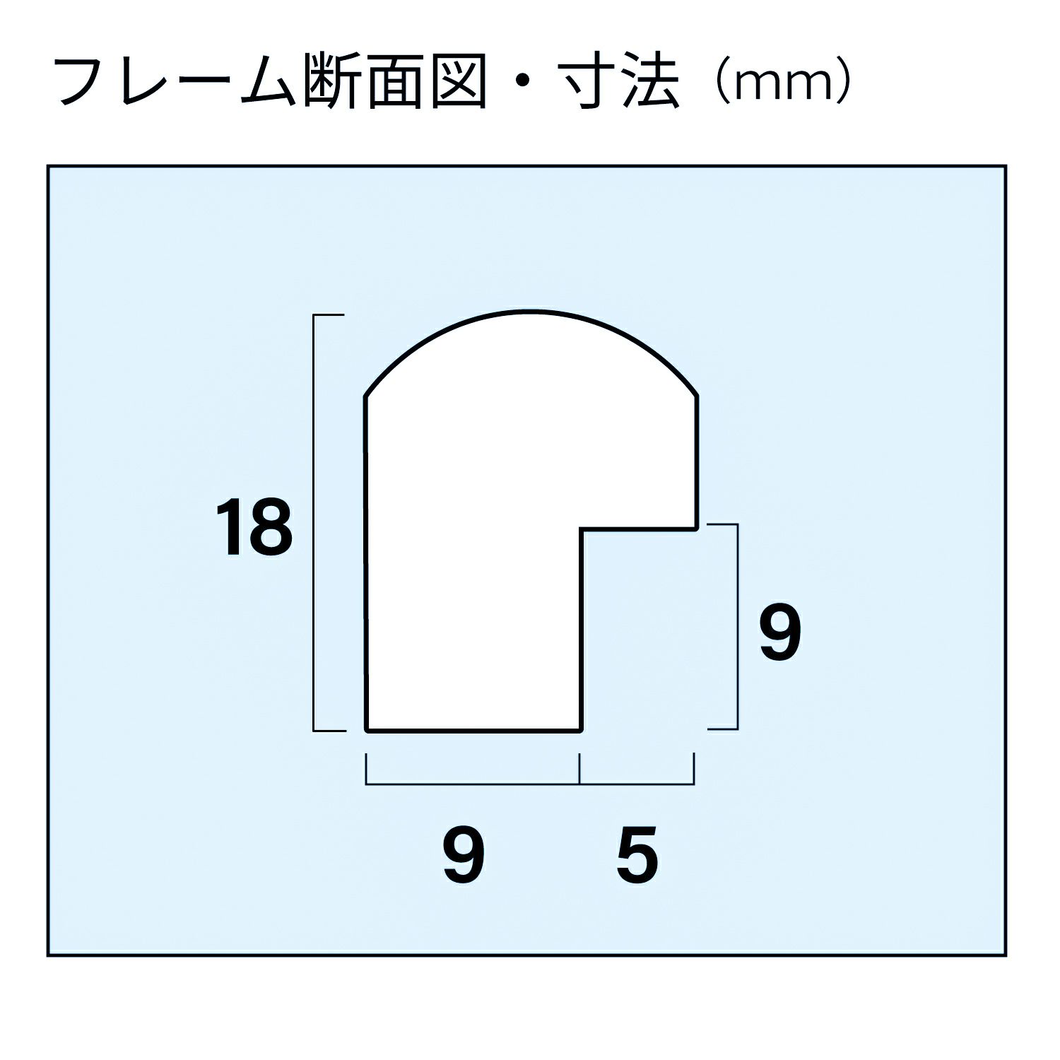 FUJICOLOR 木製額縁 M20 全紙 | アサヌマネットショップ